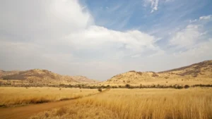 Turis Spanyol dibunuh gajah di Afrika Selatan saat mengambil foto 